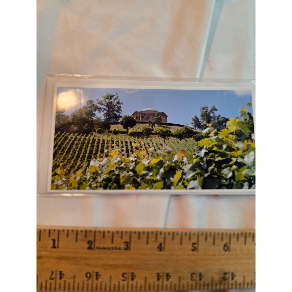 Die Fotokarte Rainer Ill Beate Mack Stuttgart Vineyard Greeting Card Envelope